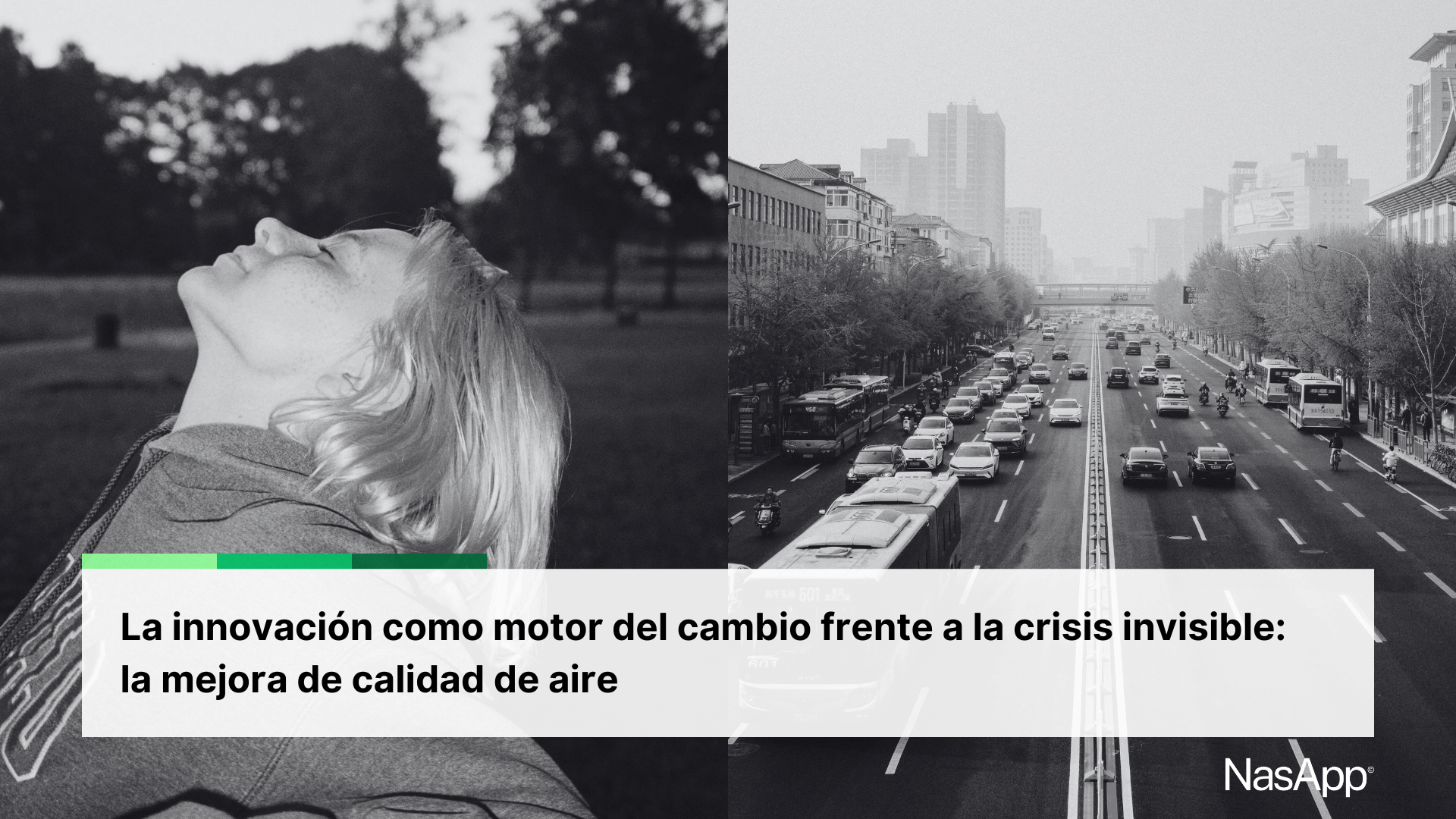 4. Informe Ecologistas en accioìn (1)